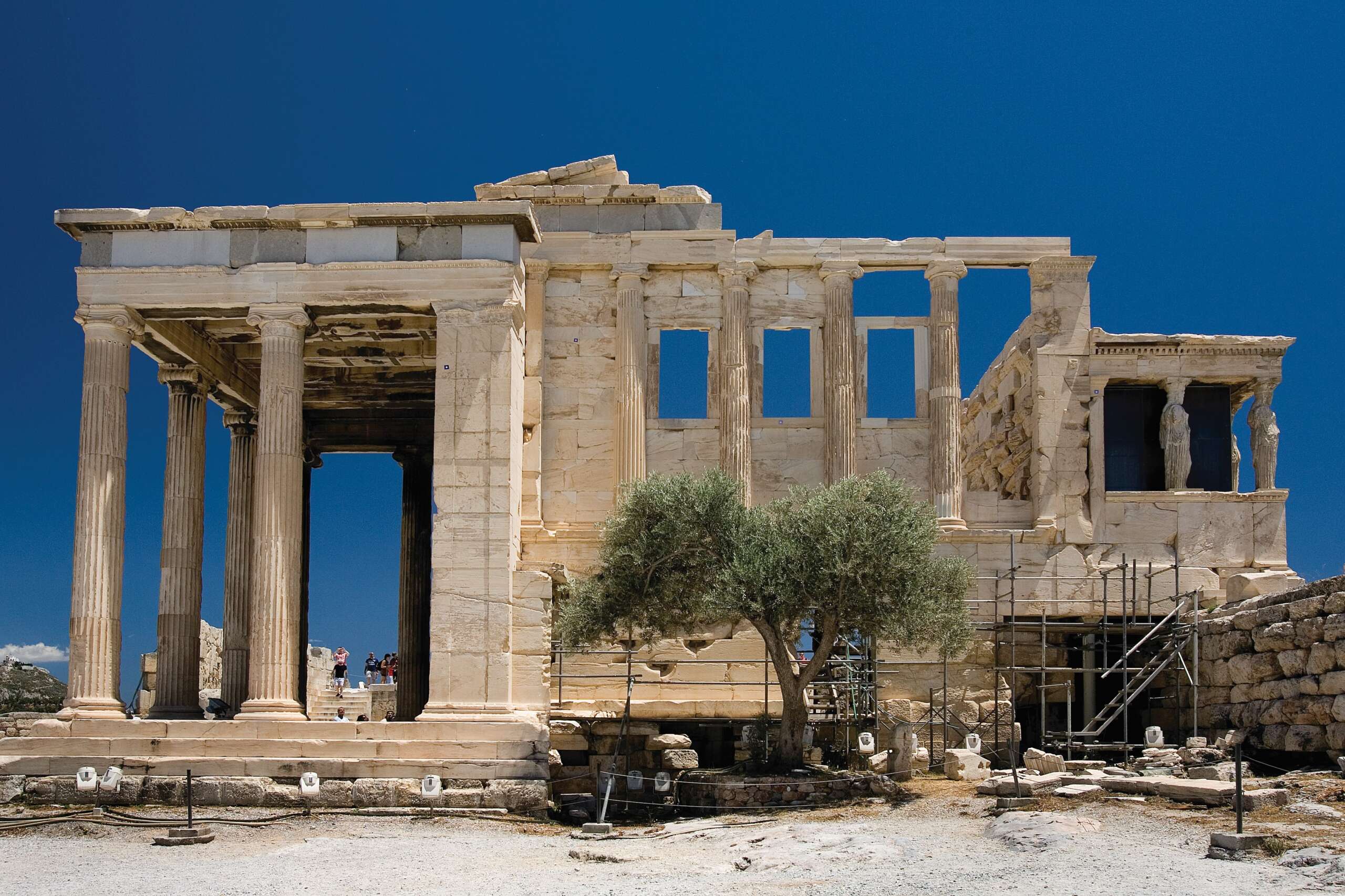 Το Διεθνές Συμβούλιο Ελαιολάδου επιλέγει την 4Ε: η επιστήμη της ελιάς βγαίνει στις γειτονιές και στα αμφιθέατρα της Αττικής